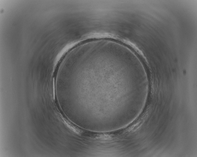 X0000074341175200609011620