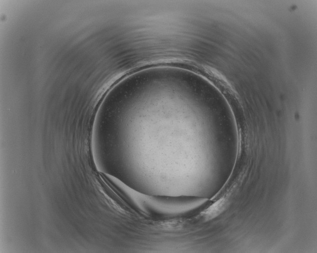 X0000074341177200609011620