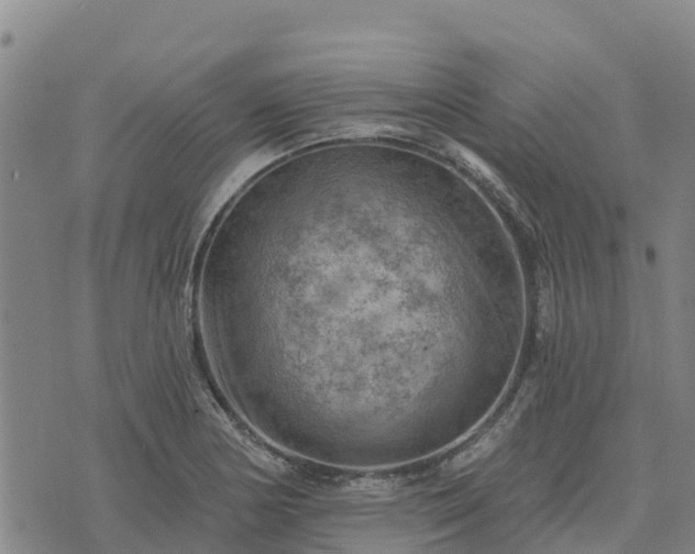 X0000074341178200609011620