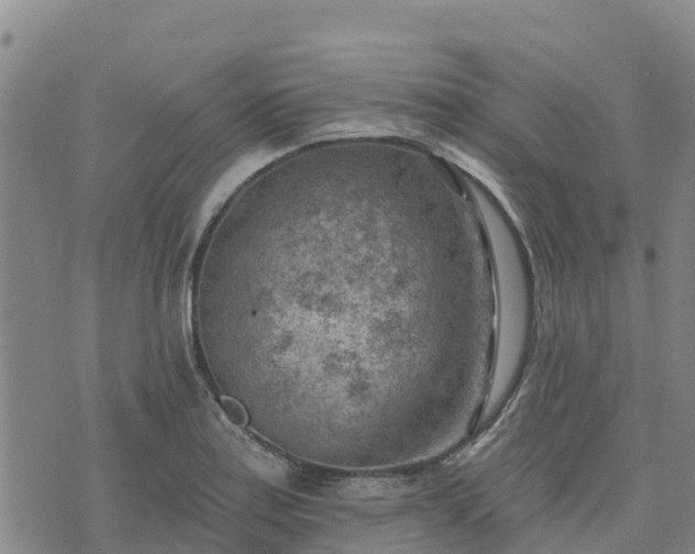 X0000074341179200609011620