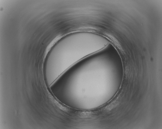 X0000074341180200609011620