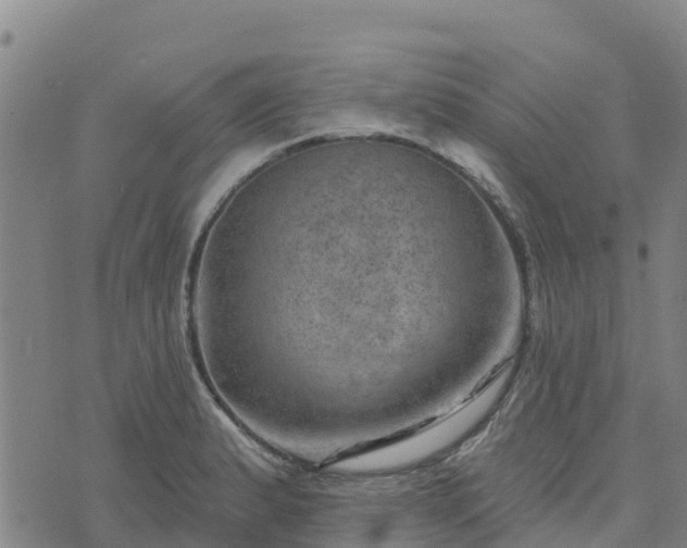 X0000074341183200609011620