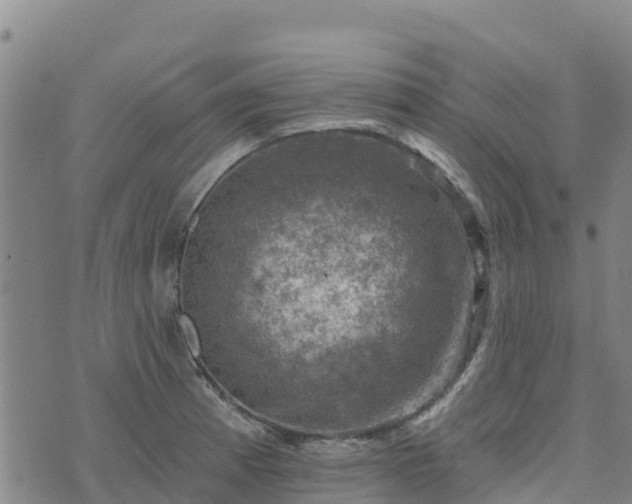 X0000074341185200609011620