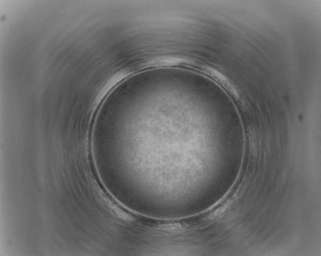 X0000074341186200609011620