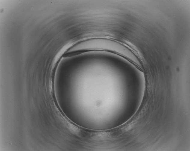 X0000074341188200609011620