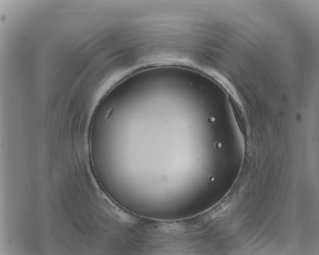 X0000074341191200609011620