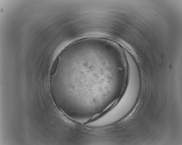 X0000074341192200609011620