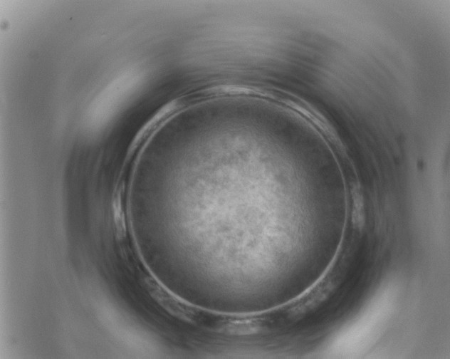 X0000074341198200609011620