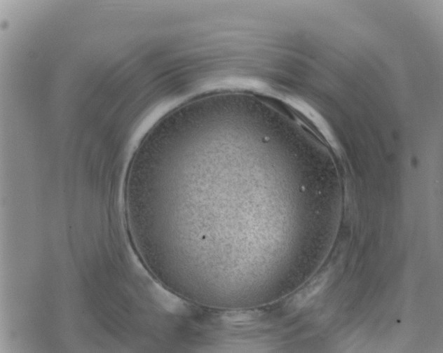 X0000074341199200609011620