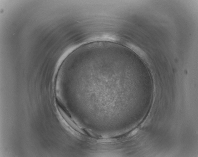 X0000074341200200609011620