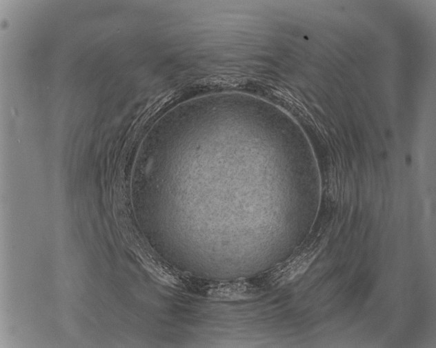 X0000074341201200609011619