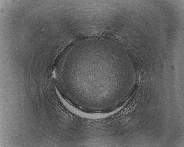 X0000074341202200609011619