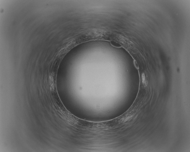 X0000074341203200609011619