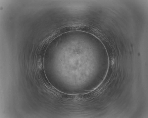 X0000074341204200609011619