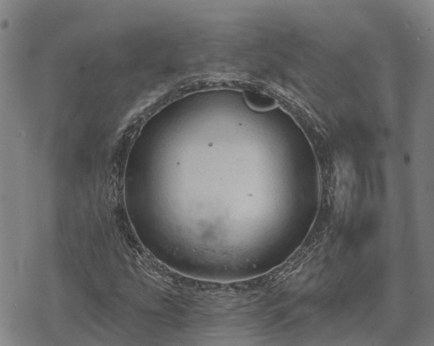 X0000074341207200609011619