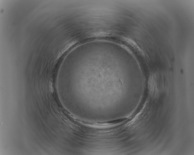 X0000074341209200609011619