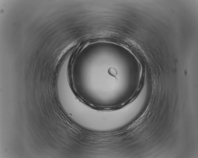 X0000074341210200609011619