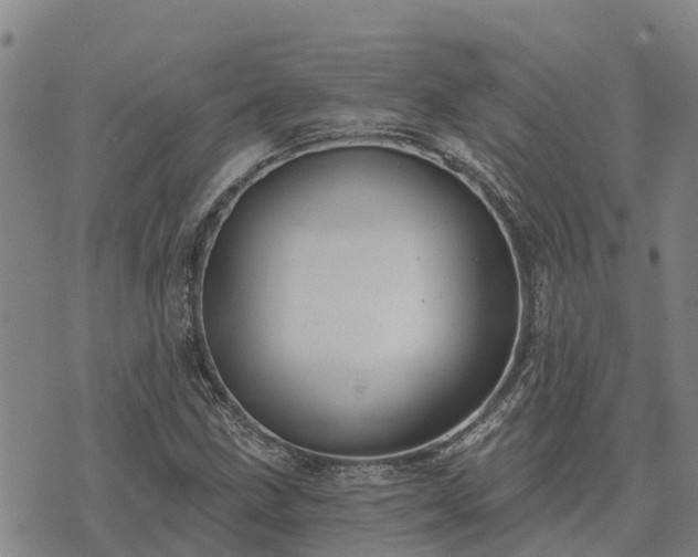 X0000074341211200609011619