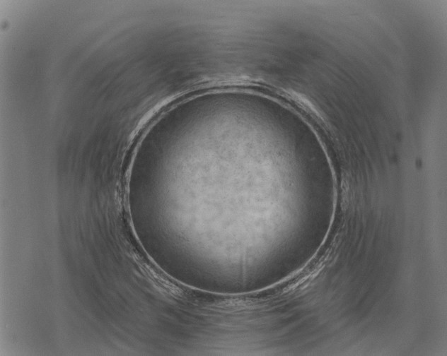 X0000074341212200609011619