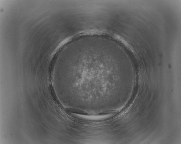 X0000074341213200609011619