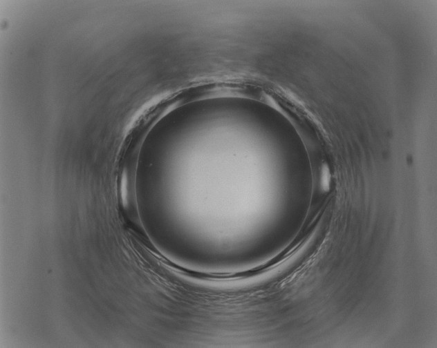 X0000074341214200609011619