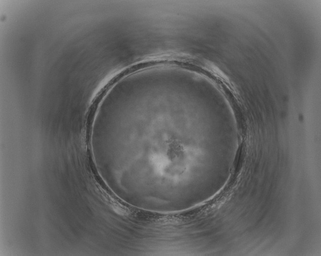 X0000074341216200609011619