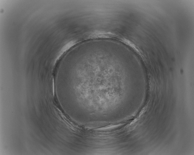 X0000074341219200609011619