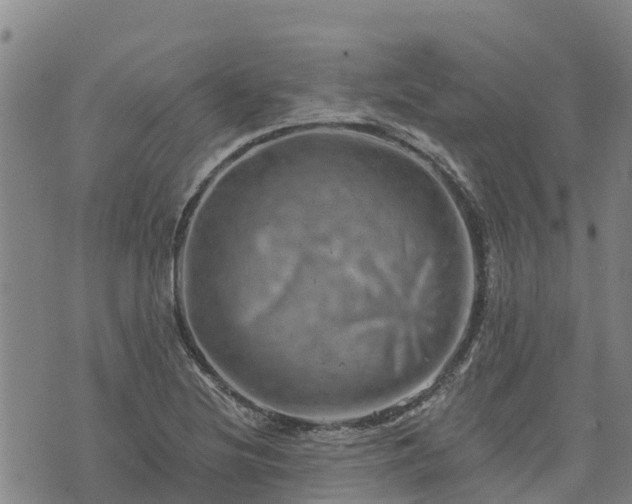 X0000074341220200609011619