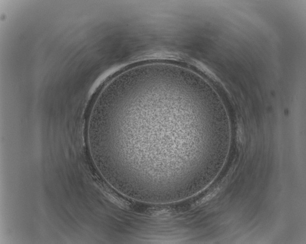 X0000074341222200609011619