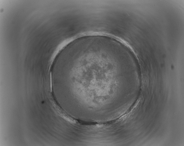 X0000074341223200609011619