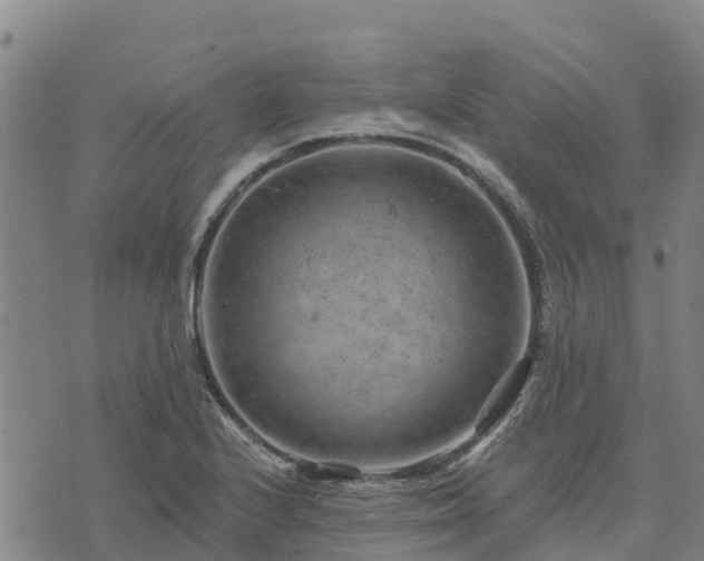 X0000074341224200609011619