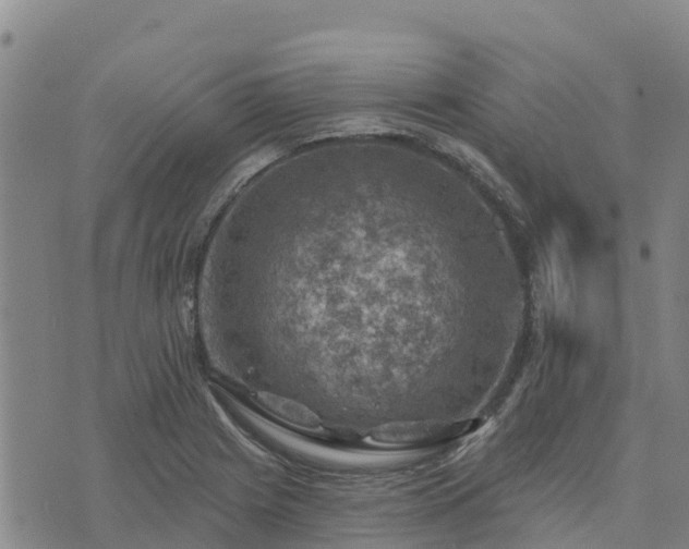 X0000074341225200609011619