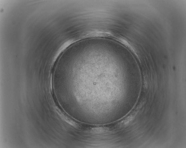 X0000074341227200609011619