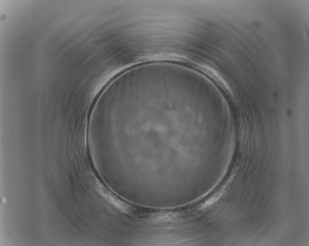 X0000074341228200609011620