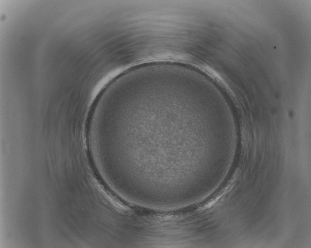 X0000074341230200609011620