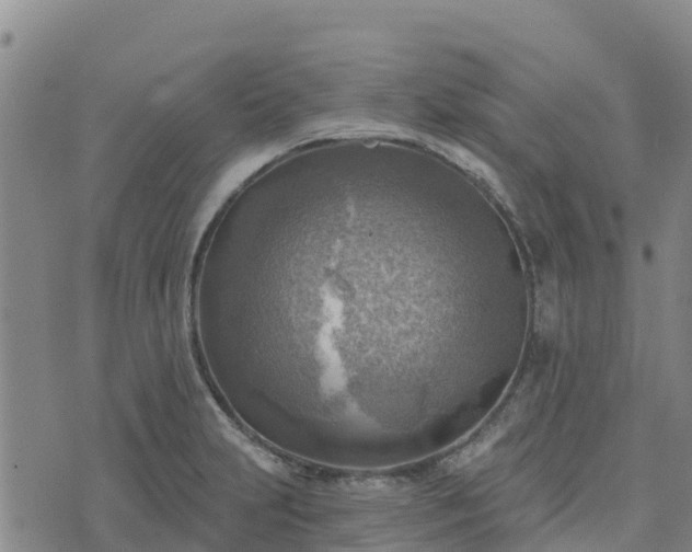 X0000074341231200609011620