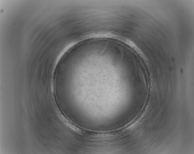 X0000074341232200609011620