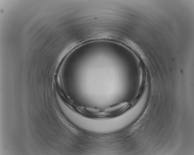 X0000074341234200609011620