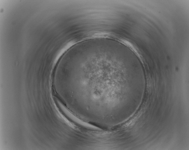 X0000074341235200609011620