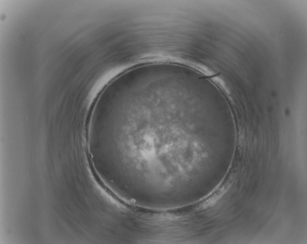 X0000074341239200609011620