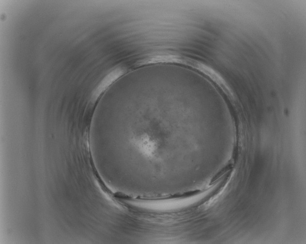 X0000074341241200609011620