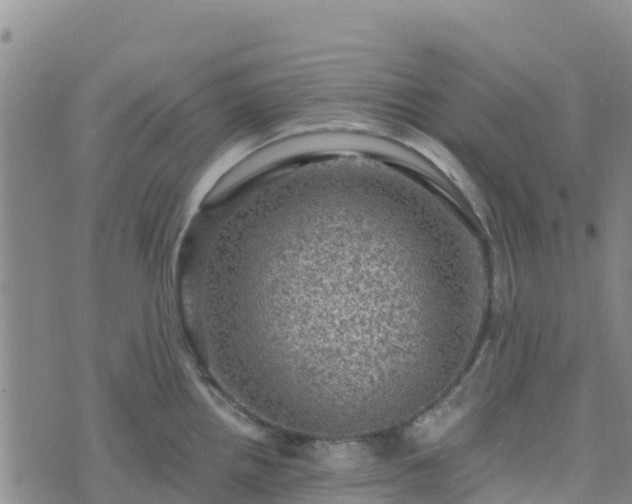 X0000074341242200609011620