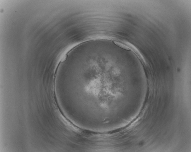 X0000074341244200609011620