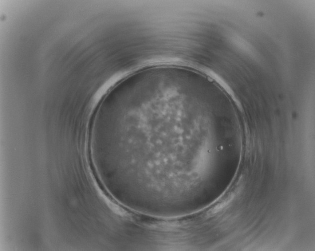 X0000074341245200609011620