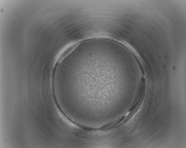 X0000074341246200609011620