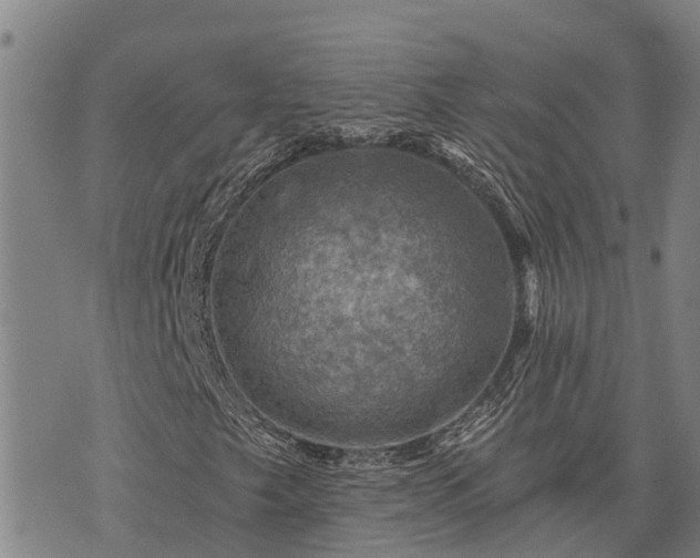 X0000074341249200609011619