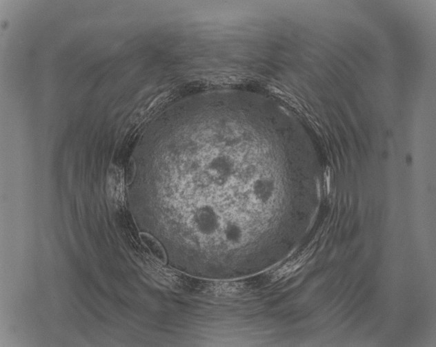 X0000074341251200609011619