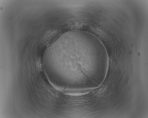 X0000074341252200609011619