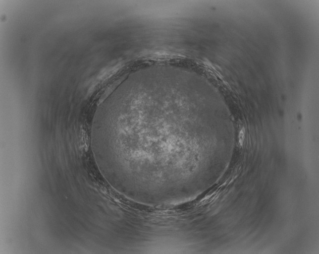 X0000074341253200609011619