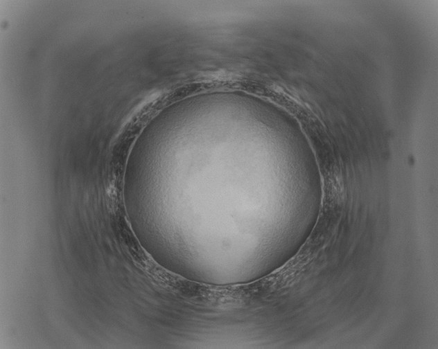 X0000074341254200609011619